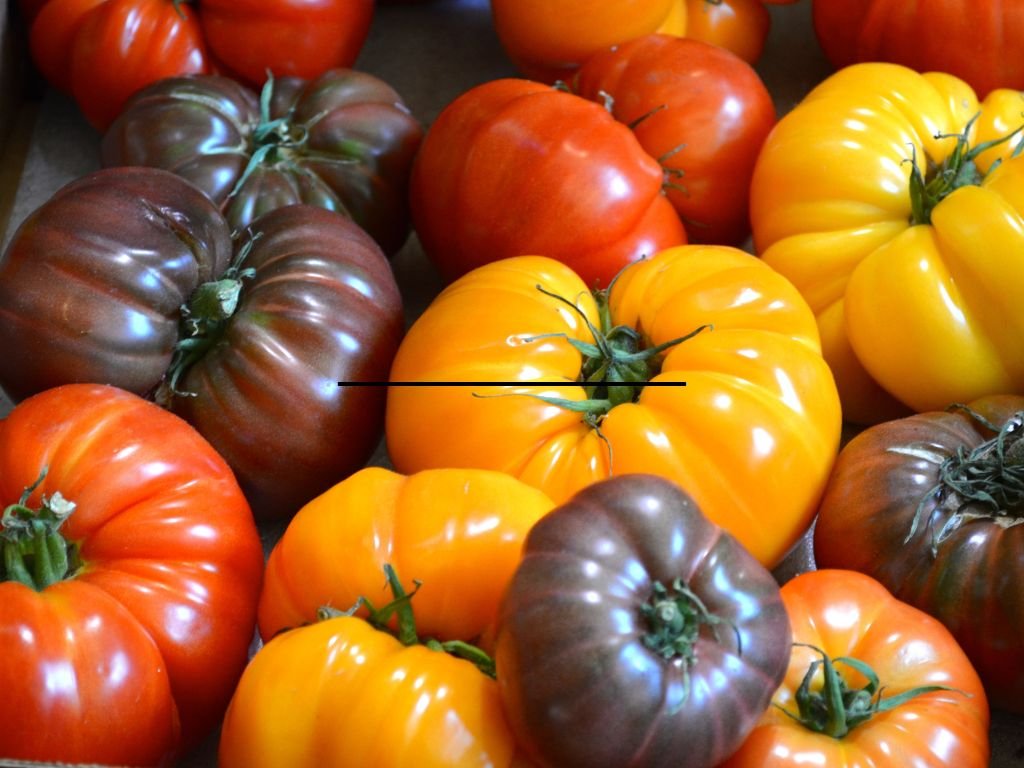 domates tarımı gübreleme